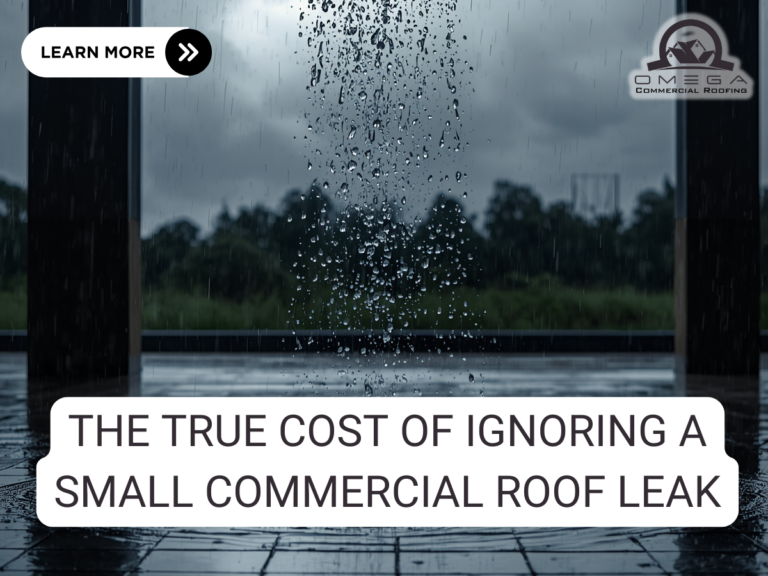 The True Cost of Ignoring a Small Commercial Roof Leak