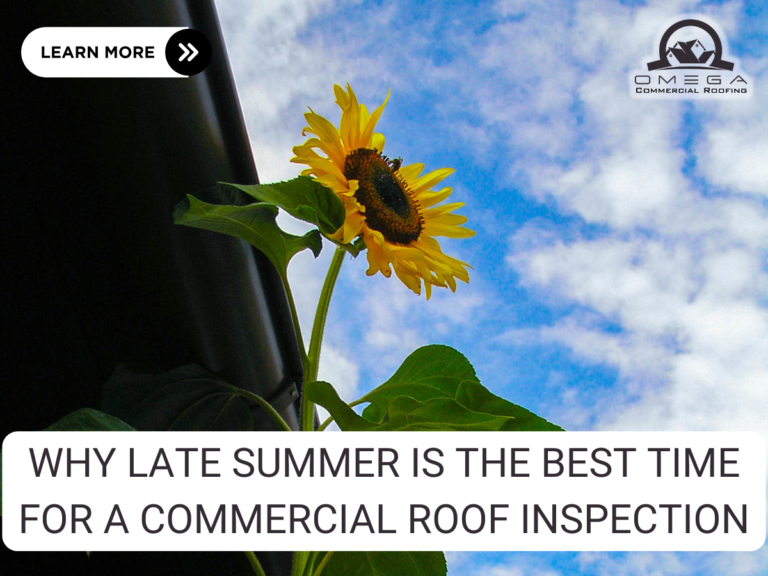 Why Late Summer Is the Best Time for a Commercial Roof Inspection